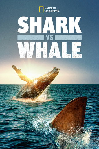 Requin vs Baleine