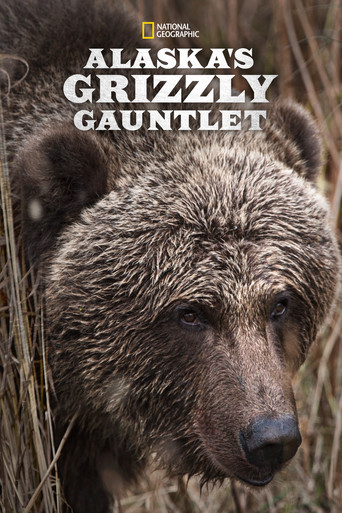 Alaska, survie avec les ours