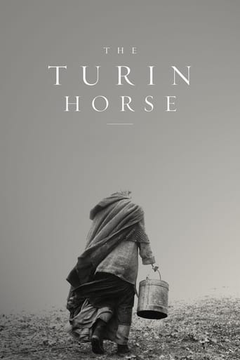 Le Cheval de Turin