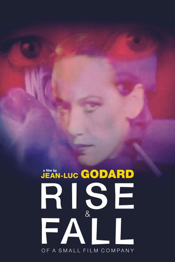 Grandeur et décadence d'un petit commerce de cinéma