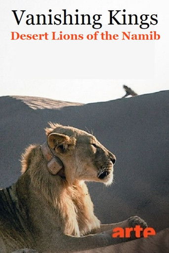 Lions de Namibie, les rois du désert
