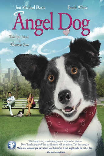 Cooper, un amour de chien