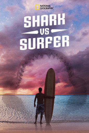 Requin vs Surfeur