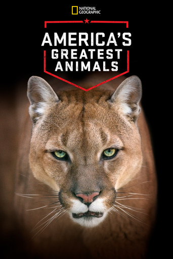 Meilleur espoir animal
