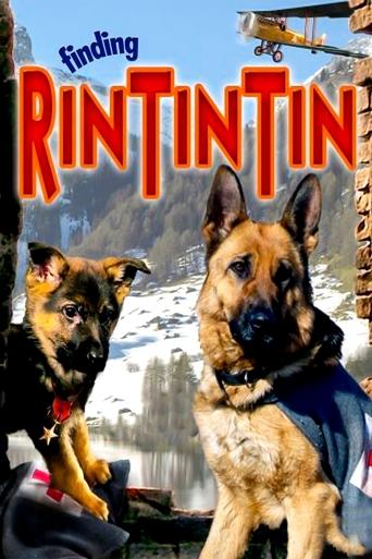 Rintintin