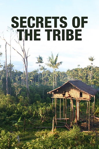 Yanomami : une guerre d'anthropologues
