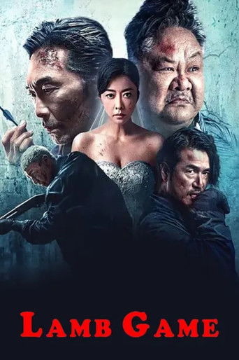 羔羊游戏