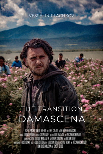 Damascena: The Transition