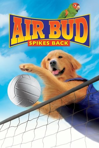 Air Bud 5 - Superstar