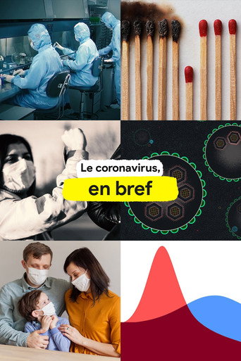Le coronavirus, en bref
