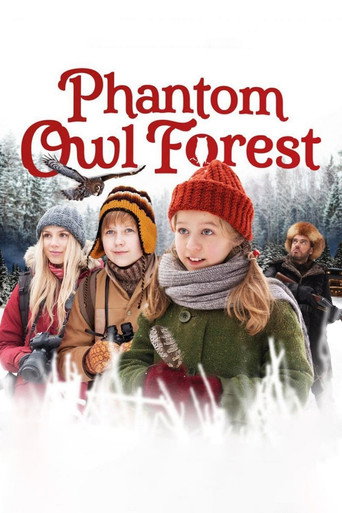 Noël dans la forêt de la chouette