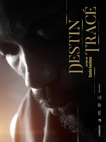 Destin Tracé
