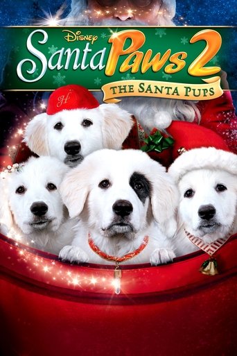 Les Chiots Noël, la relève est arrivée