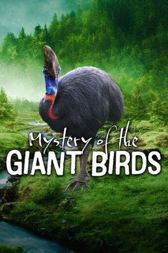 Le mystère des oiseaux géants