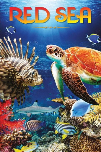 La Mer Rouge, comme vous ne l'avez jamais vue