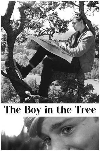 Le garçon dans l'arbre