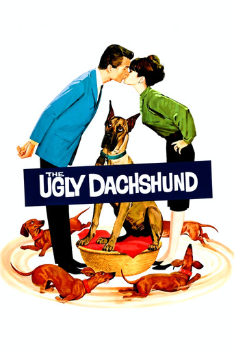 4 bassets pour un danois