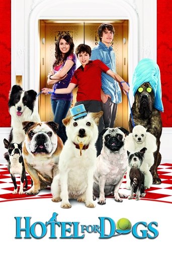 Palace pour chiens