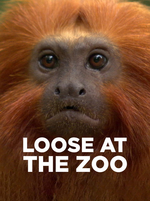 Loose at the Zoo